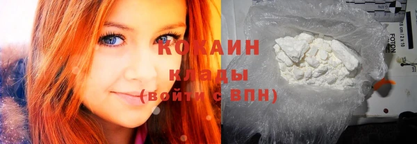 индика Елизово