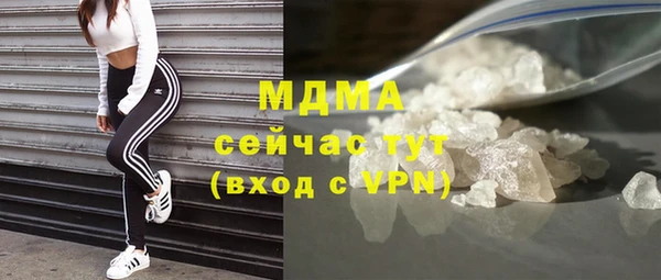 индика Елизово