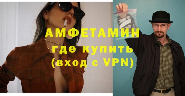 индика Елизово