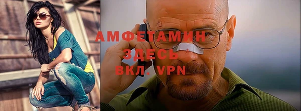 индика Елизово
