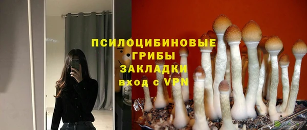 дживик Ельня