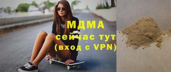 индика Елизово