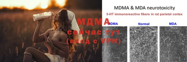 индика Елизово