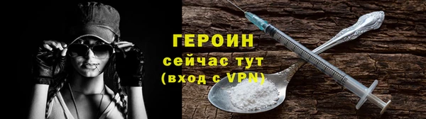 индика Елизово