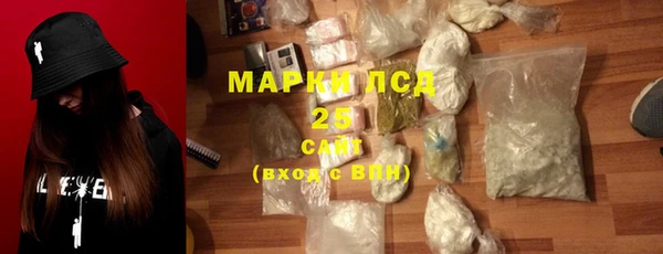 дживик Ельня