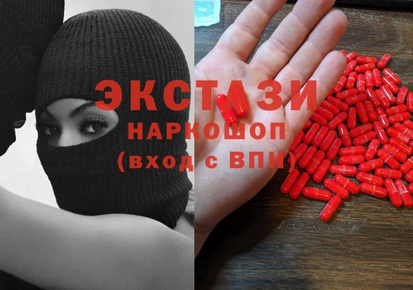дживик Ельня