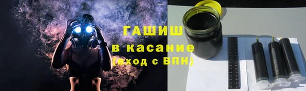 индика Елизово