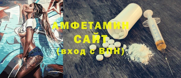 индика Елизово