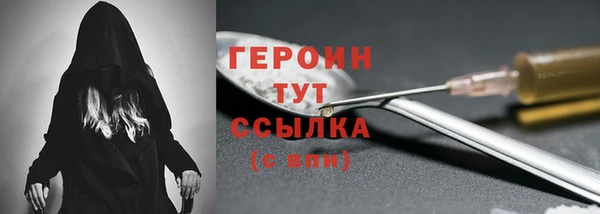 дживик Ельня