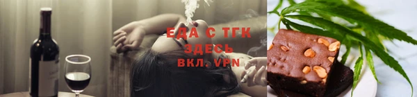 дживик Ельня