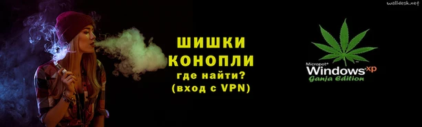 дживик Ельня
