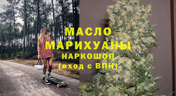 дживик Ельня