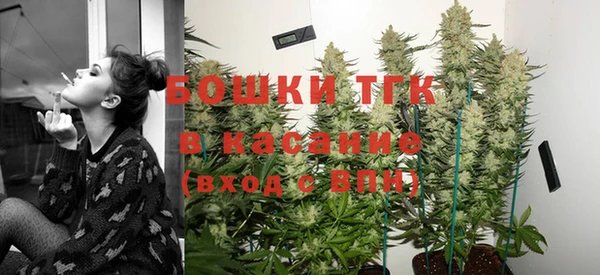 индика Елизово