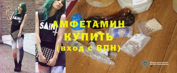 дживик Ельня