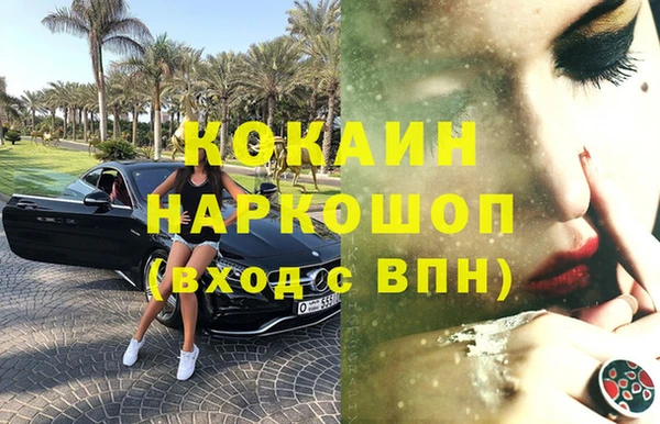 дживик Ельня