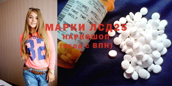индика Елизово