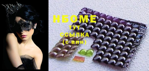индика Елизово