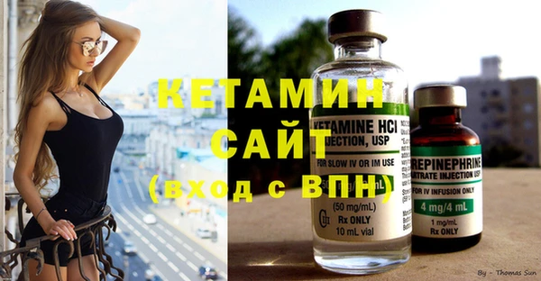 дживик Ельня