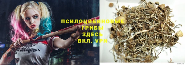 индика Елизово