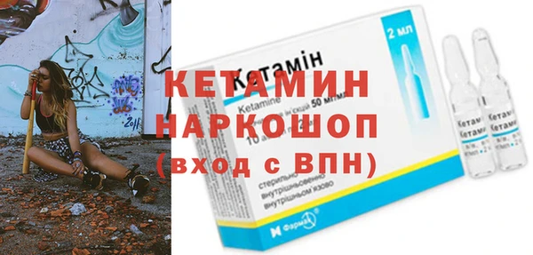 дживик Ельня