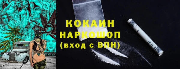 дживик Ельня