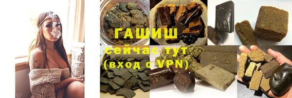 дживик Ельня