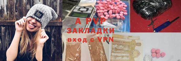 индика Елизово