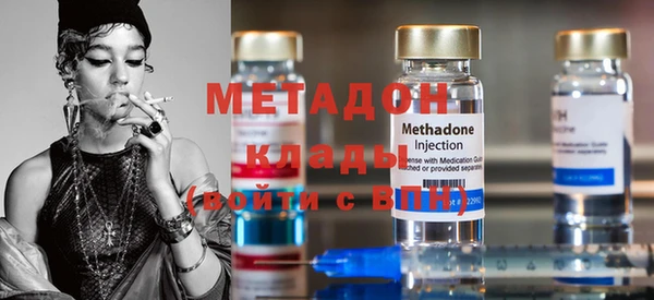 дживик Ельня