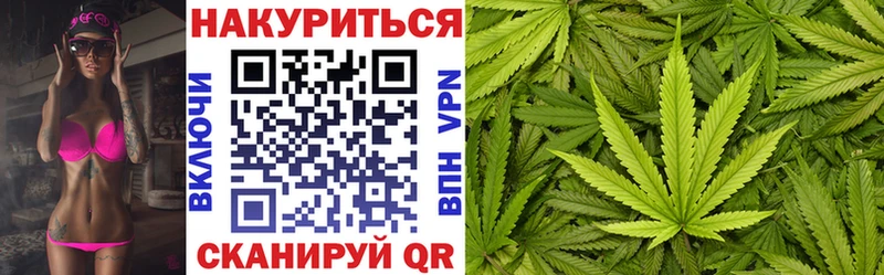 Купить закладки  Ленинск-Кузнецкий  Бошки Шишки SATIVA & INDICA 